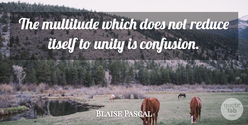 Blaise Pascal Quote About Confusion, Unity, Doe: The Multitude Which Does Not...
