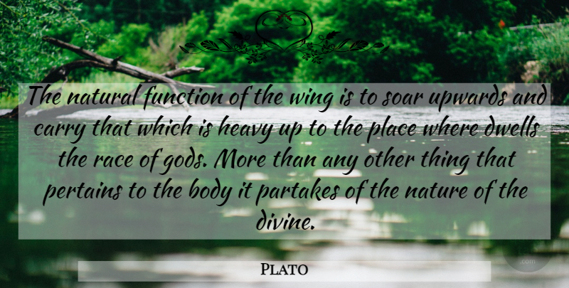 Plato Quote About Wings, Race, Flying: The Natural Function Of The...