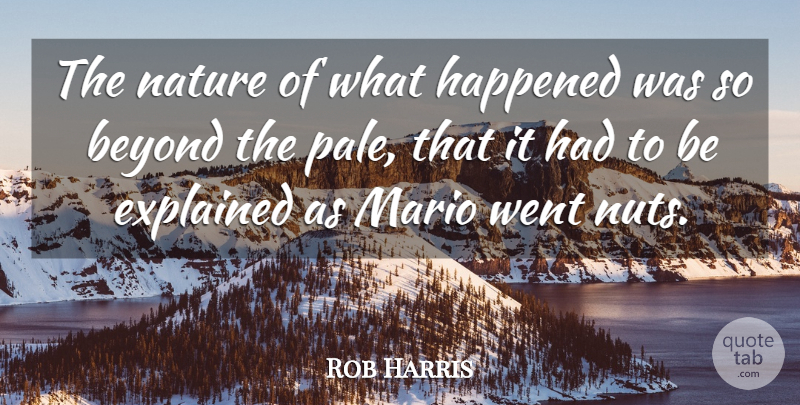 Rob Harris Quote About Beyond, Explained, Happened, Mario, Nature: The Nature Of What Happened...