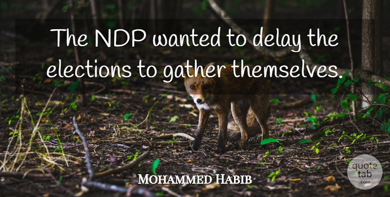 Mohammed Habib Quote About Delay, Elections, Gather: The Ndp Wanted To Delay...