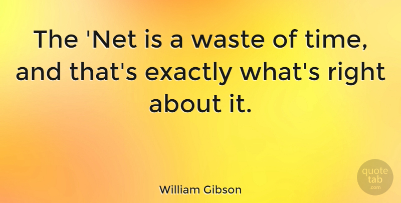 William Gibson Quote About Technology, Waste, Wasting Time: The Net Is A Waste...