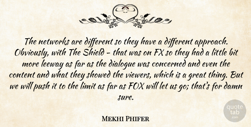 Mekhi Phifer Quote About Different, Littles, Shields: The Networks Are Different So...