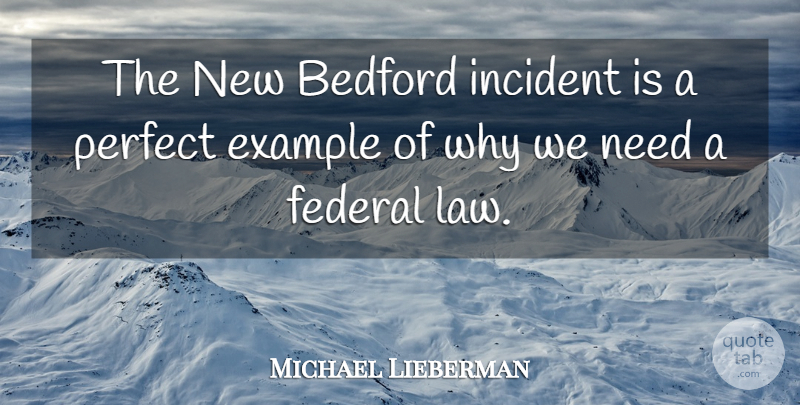 Michael Lieberman Quote About Example, Federal, Incident, Perfect: The New Bedford Incident Is...