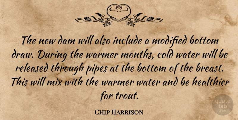 Chip Harrison Quote About Bottom, Cold, Dam, Healthier, Include: The New Dam Will Also...