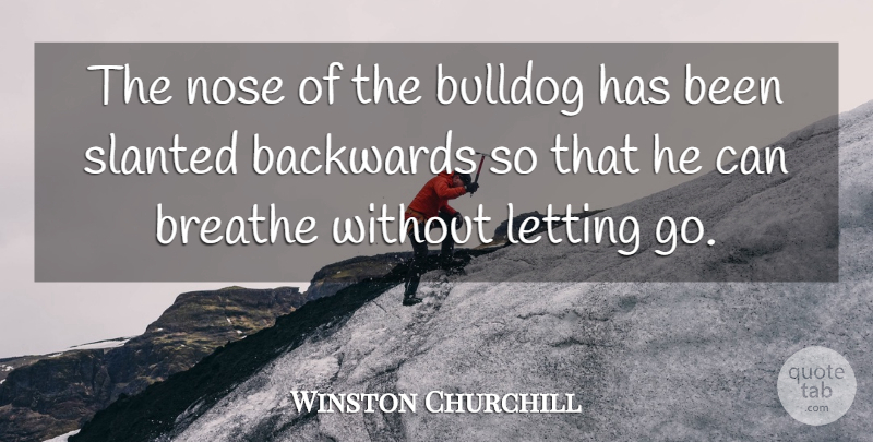 Winston Churchill Quote About Backwards, Breathe, Bulldog, Dogs, Letting: The Nose Of The Bulldog...