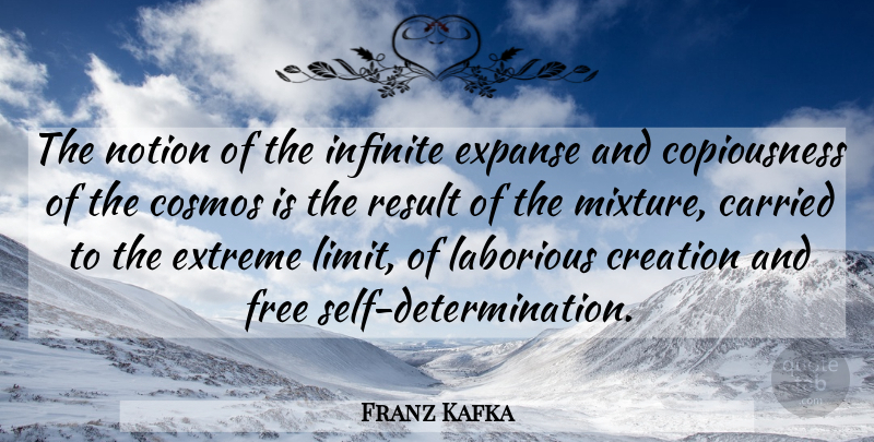 Franz Kafka Quote About Determination, Self, Mixtures: The Notion Of The Infinite...