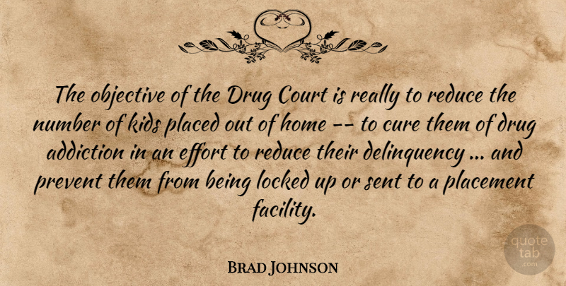 Brad Johnson Quote About Addiction, Court, Cure, Effort, Home: The Objective Of The Drug...