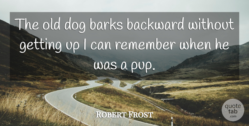 Robert Frost Quote About Dog, Silly, Pups: The Old Dog Barks Backward...