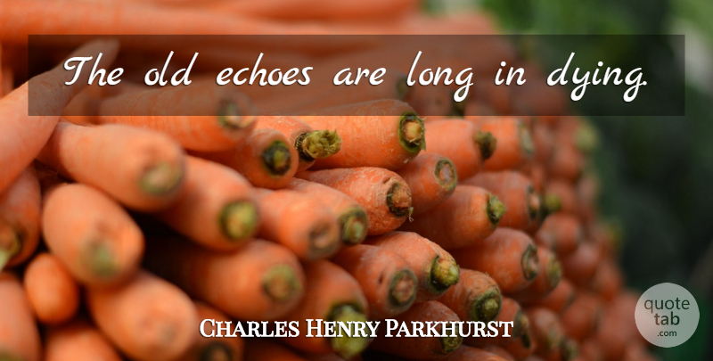 Charles Henry Parkhurst Quote About Echoes, Long, Dying: The Old Echoes Are Long...