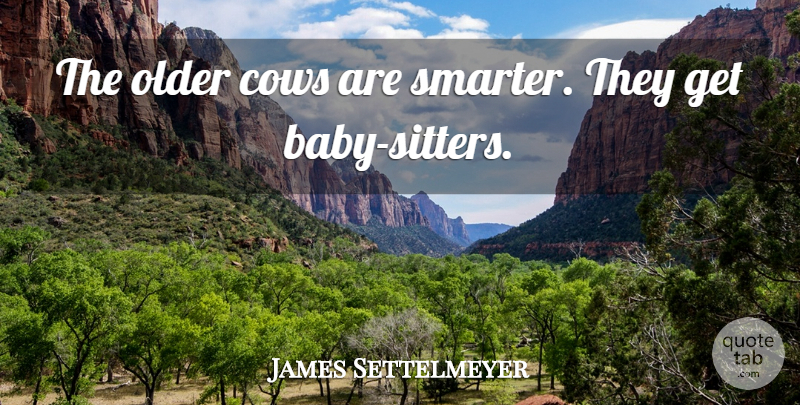 James Settelmeyer Quote About Babies, Cows, Older: The Older Cows Are Smarter...