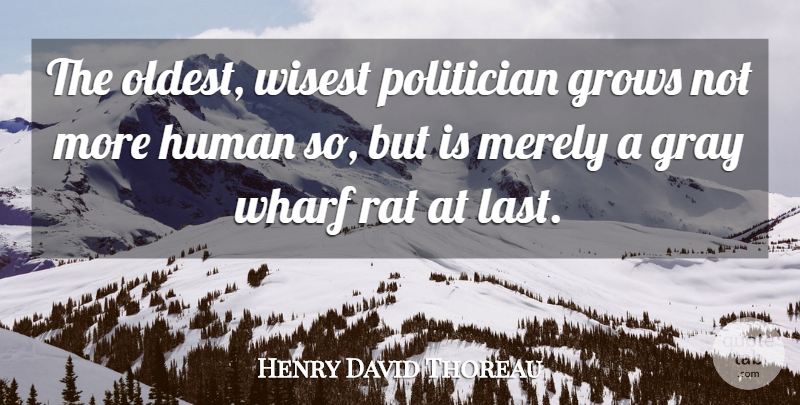 Henry David Thoreau Quote About Government, Rats, Lasts: The Oldest Wisest Politician Grows...