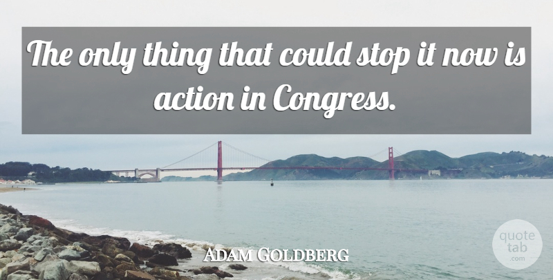 Adam Goldberg Quote About Action, Stop: The Only Thing That Could...
