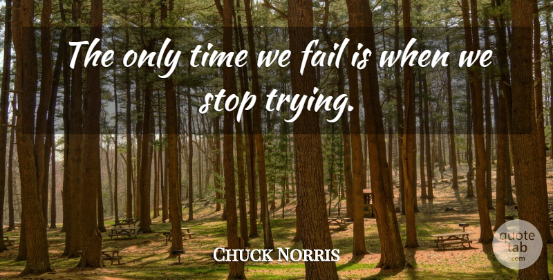 Chuck Norris Quote About Art, Trying, Failing: The Only Time We Fail...