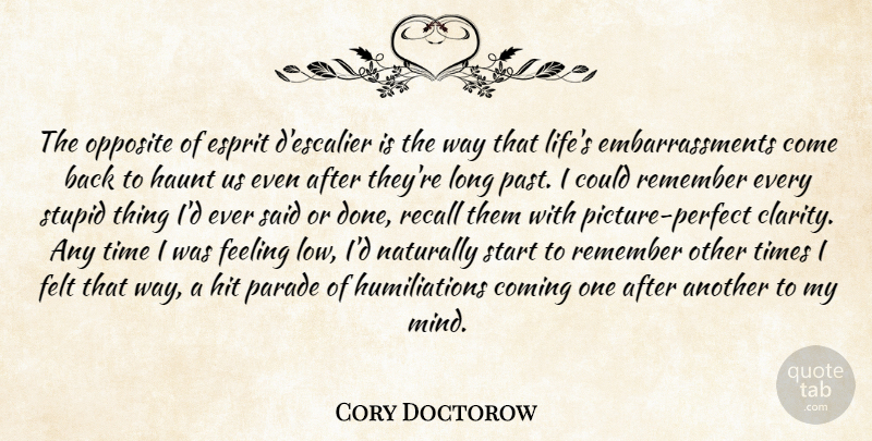 Cory Doctorow Quote About Stupid, Past, Opposites: The Opposite Of Esprit Descalier...