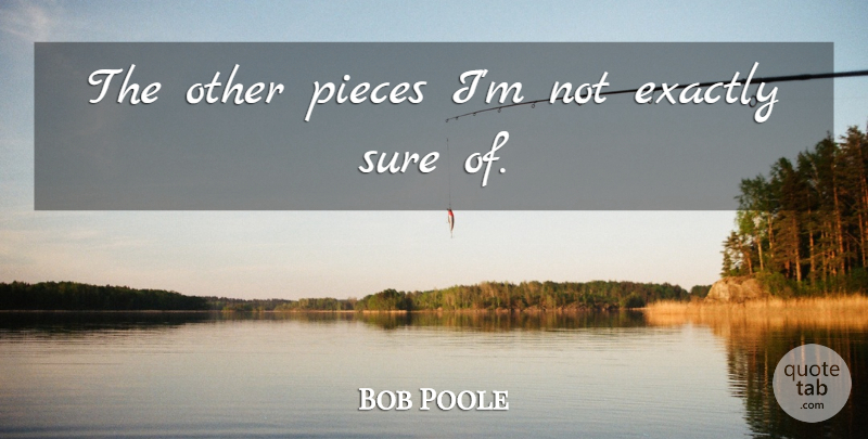 Bob Poole Quote About Exactly, Pieces, Sure: The Other Pieces Im Not...
