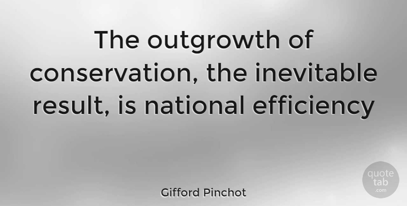 Gifford Pinchot Quote About Conservation, Efficiency, Results: The Outgrowth Of Conservation The...