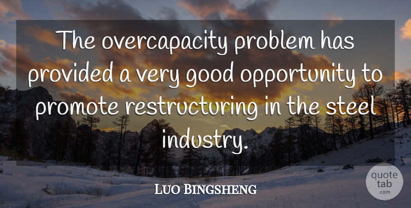 Luo Bingsheng Quote About Good, Opportunity, Problem, Promote, Provided: The Overcapacity Problem Has Provided...
