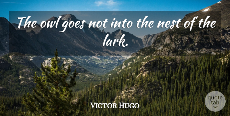 Victor Hugo Quote About Owl, Nests, Larks: The Owl Goes Not Into...