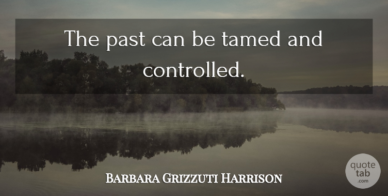Barbara Grizzuti Harrison Quote About Past, Tamed, Controlled: The Past Can Be Tamed...