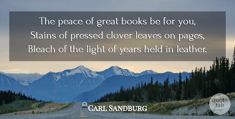 Carl Sandburg Quote About Book, Years, Light: The Peace Of Great Books...