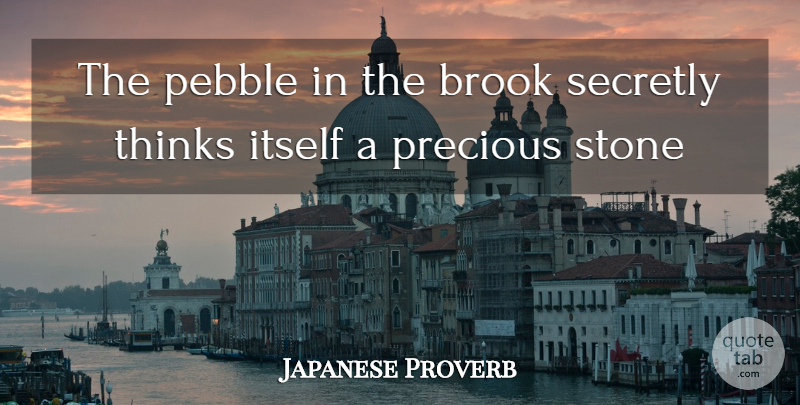 Japanese Proverb Quote About Itself, Pebble, Precious, Secretly, Stone: The Pebble In The Brook...