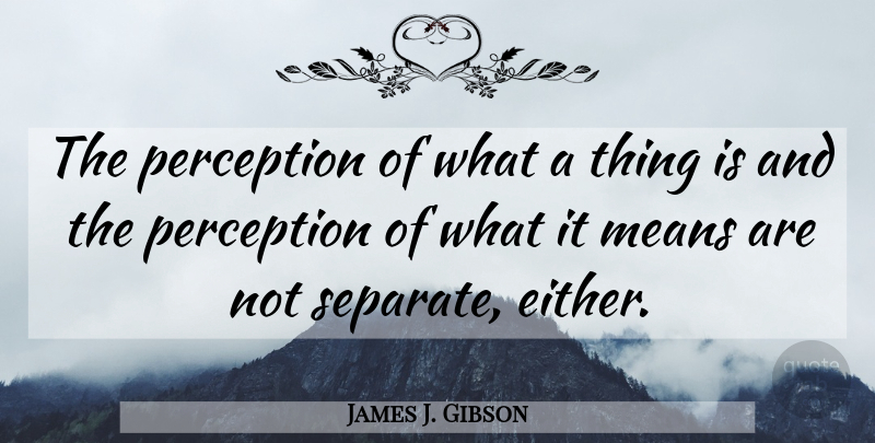 James J. Gibson Quote About Means: The Perception Of What A...