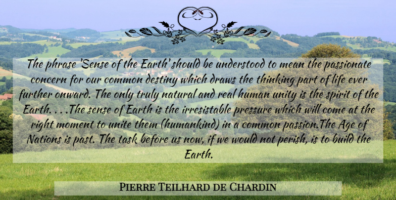 Pierre Teilhard de Chardin Quote About Real, Mean, Passion: The Phrase Sense Of The...