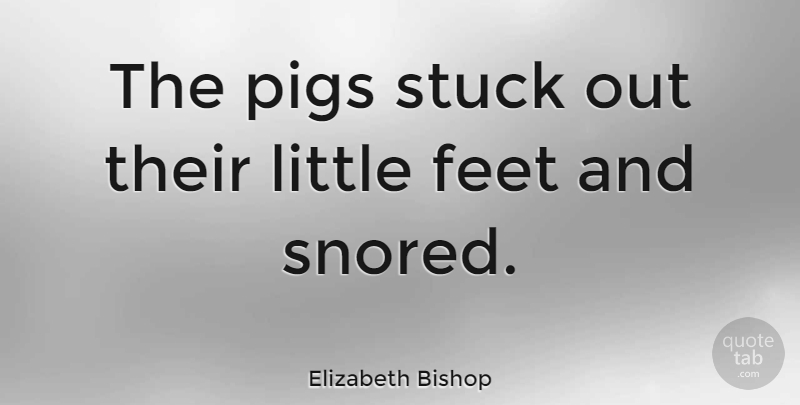 Elizabeth Bishop Quote About Feet, Pigs, Littles: The Pigs Stuck Out Their...