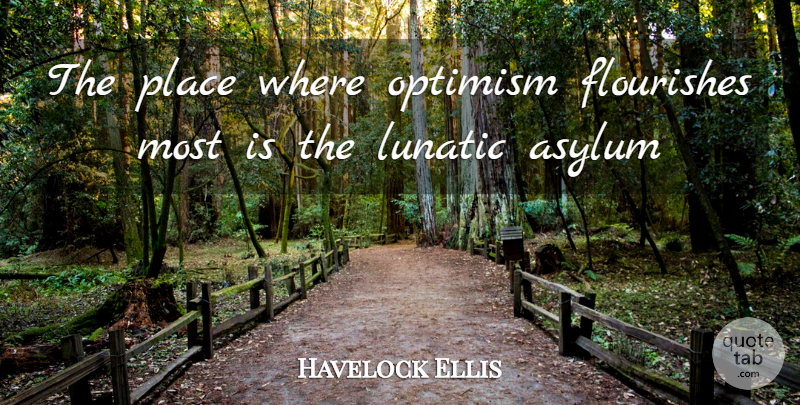 Havelock Ellis Quote About Asylum, Flourishes, Lunatic, Optimism: The Place Where Optimism Flourishes...