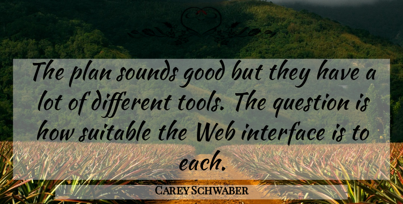Carey Schwaber Quote About Good, Interface, Plan, Question, Sounds: The Plan Sounds Good But...