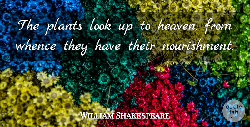 William Shakespeare Quote About Flower, Heaven, Looks: The Plants Look Up To...
