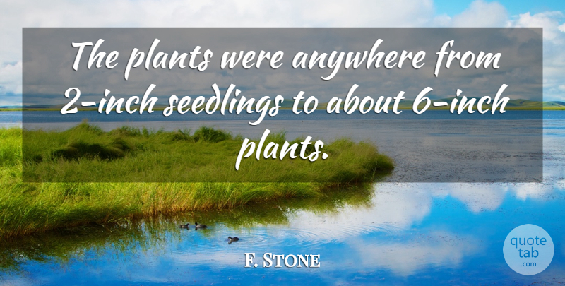 F. Stone Quote About Anywhere, Plants: The Plants Were Anywhere From...