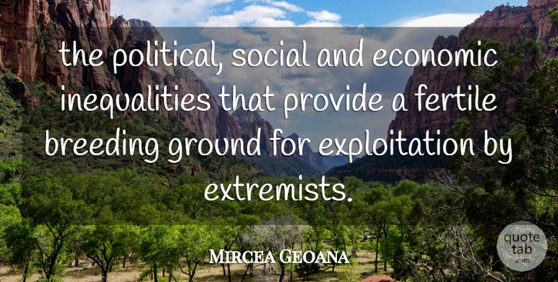 Mircea Geoana Quote About Breeding, Economic, Fertile, Ground, Provide: The Political Social And Economic...