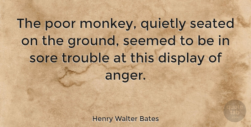 Henry Walter Bates Quote About Monkeys, Trouble, Poor: The Poor Monkey Quietly Seated...