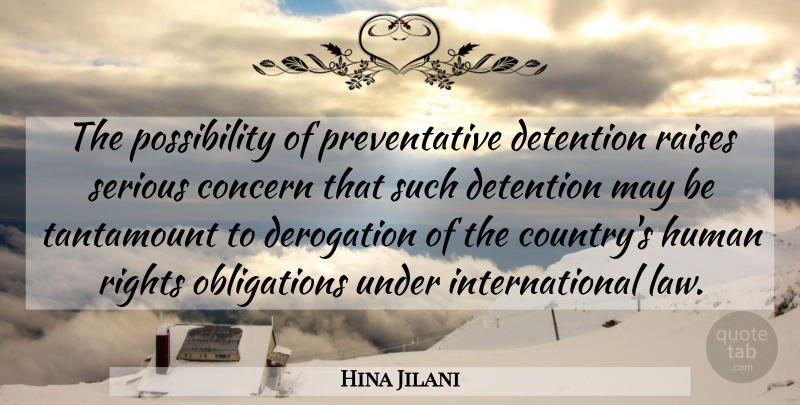 Hina Jilani Quote About Concern, Detention, Human, Raises, Rights: The Possibility Of Preventative Detention...