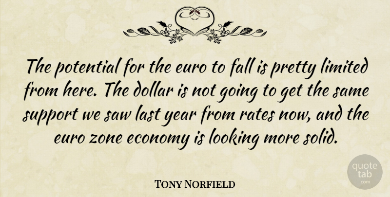 Tony Norfield Quote About Dollar, Economy, Euro, Fall, Last: The Potential For The Euro...