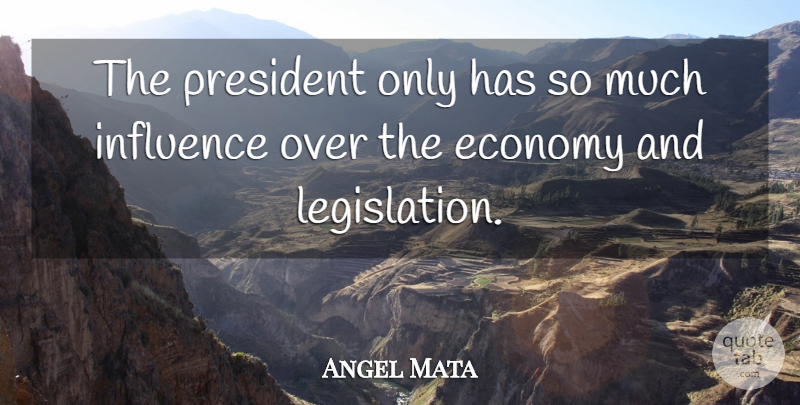 Angel Mata Quote About Economy, Influence, President: The President Only Has So...
