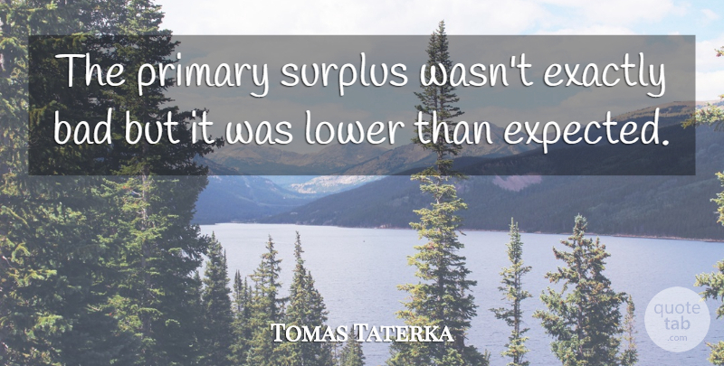 Tomas Taterka Quote About Bad, Exactly, Lower, Primary, Surplus: The Primary Surplus Wasnt Exactly...