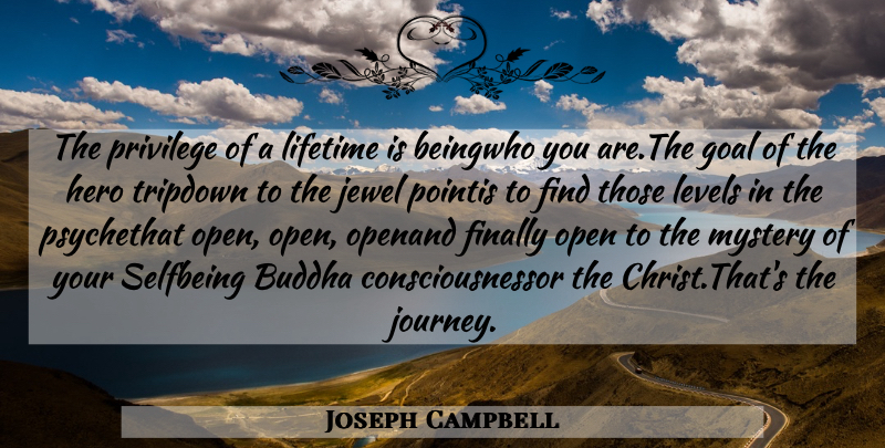 Joseph Campbell Quote About Hero, Journey, Jewels: The Privilege Of A Lifetime...