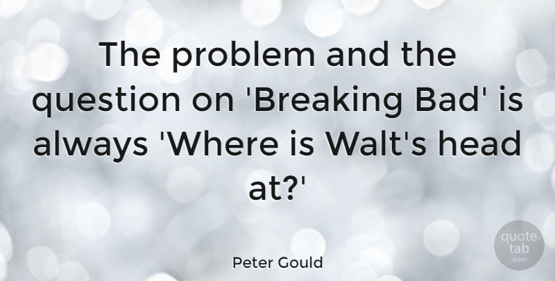 Peter Gould Quote About undefined: The Problem And The Question...