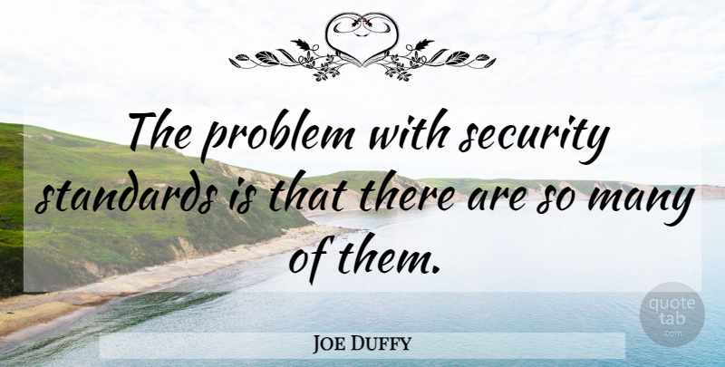 Joe Duffy Quote About Problem, Security, Standards: The Problem With Security Standards...