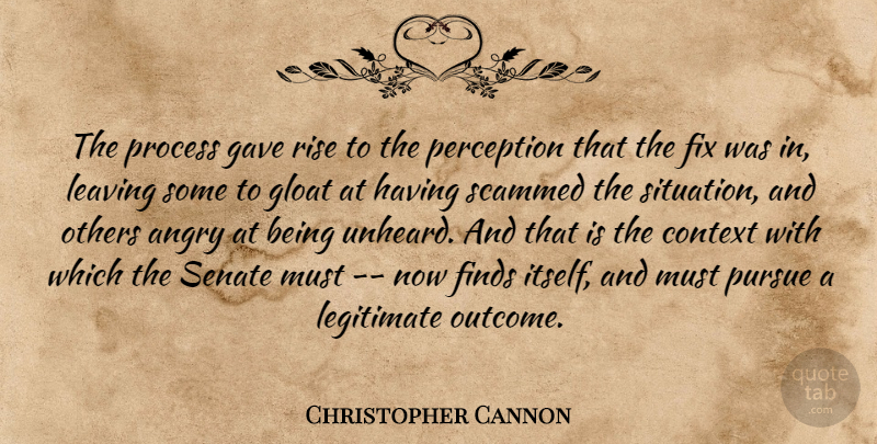Christopher Cannon Quote About Angry, Context, Finds, Fix, Gave: The Process Gave Rise To...