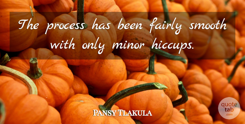 Pansy Tlakula Quote About Fairly, Minor, Process, Smooth: The Process Has Been Fairly...