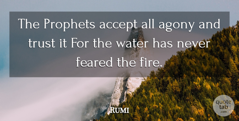 Rumi Quote About Spiritual, Agony, Fire: The Prophets Accept All Agony...