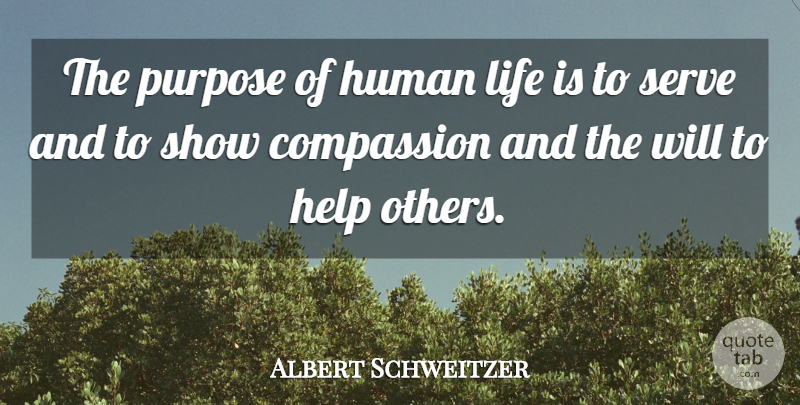 Albert Schweitzer Quote About Compassion, Help, Human, Life, Purpose: The Purpose Of Human Life...