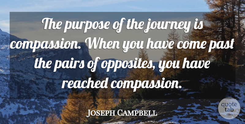 Joseph Campbell Quote About Journey, Compassion, Past: The Purpose Of The Journey...