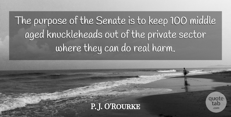 P. J. O'Rourke Quote About Real, Political, Knuckleheads: The Purpose Of The Senate...