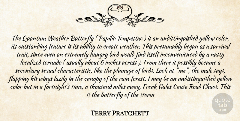 Terry Pratchett Quote About Ability, Across, Became, Began, Bird: The Quantum Weather Butterfly Papilio...