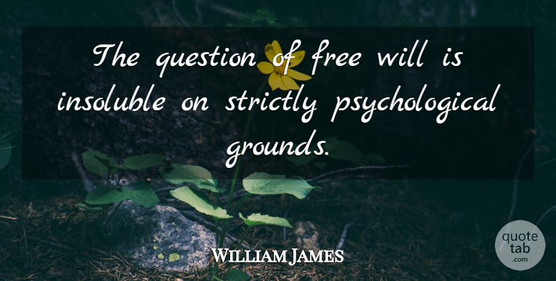 William James Quote About Free Will, Psychological: The Question Of Free Will...