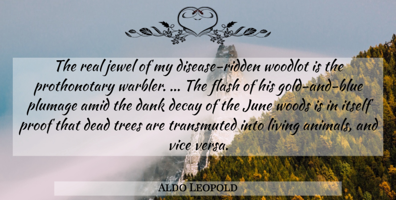 Aldo Leopold Quote About Real, Animal, June: The Real Jewel Of My...